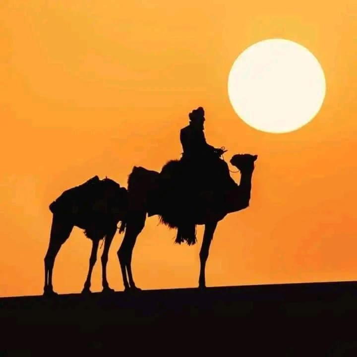 Restcamp Ergchebbi Otel Merzouga Dış mekan fotoğraf